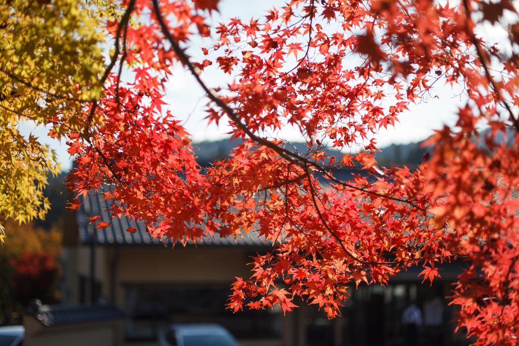 Hotel Okutamaji Ome Exterior foto